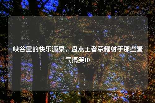 峡谷里的快乐源泉，盘点王者荣耀射手那些骚气搞笑ID