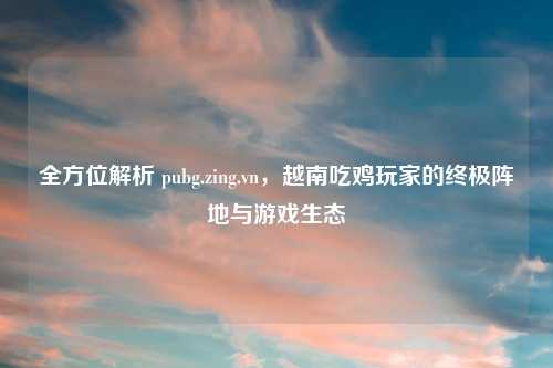 全方位解析 pubg.zing.vn，越南吃鸡玩家的终极阵地与游戏生态