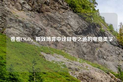 卷卷CSGO，极致博弈中诠释卷之道的电竞美学