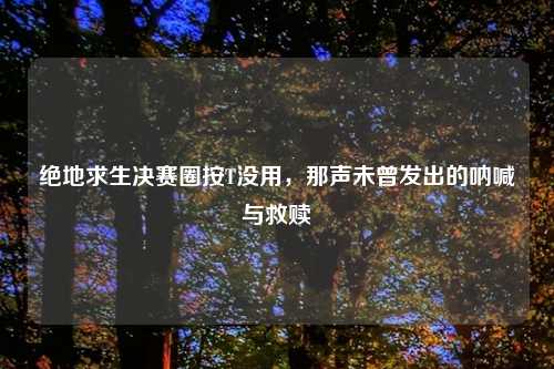 绝地求生决赛圈按T没用，那声未曾发出的呐喊与救赎