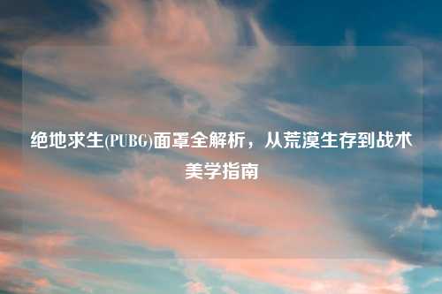 绝地求生(PUBG)面罩全解析，从荒漠生存到战术美学指南