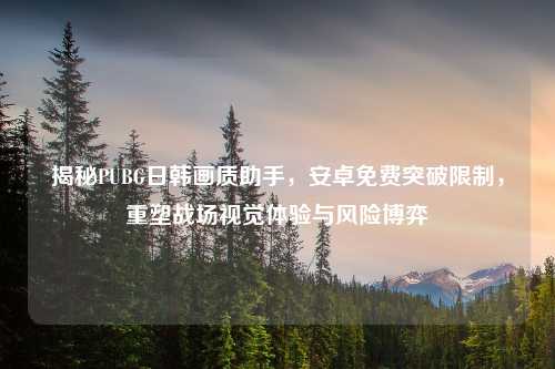 揭秘PUBG日韩画质助手，安卓免费突破限制，重塑战场视觉体验与风险博弈
