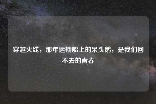 穿越火线，那年运输船上的呆头鹅，是我们回不去的青春