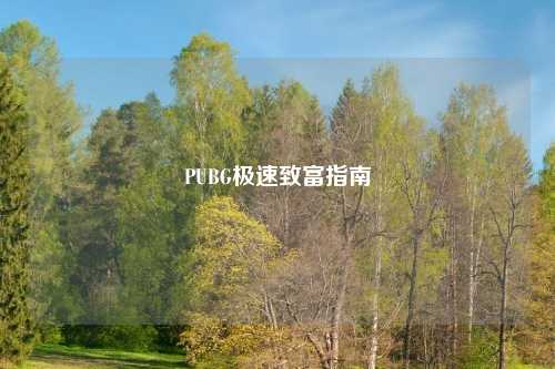 PUBG极速致富指南