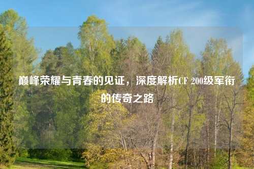 巅峰荣耀与青春的见证，深度解析CF 200级军衔的传奇之路