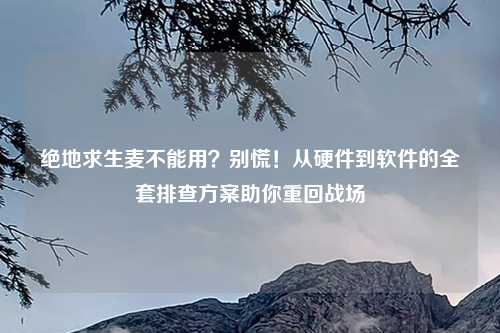 绝地求生麦不能用？别慌！从硬件到软件的     排查方案助你重回战场