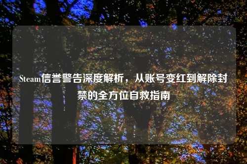 Steam信誉警告深度解析，从账号变红到解除封禁的全方位自救指南