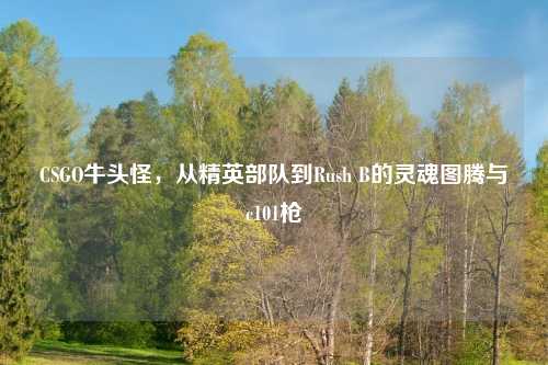 CSGO牛头怪，从精英部队到Rush B的灵魂图腾与c101枪