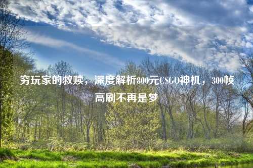 穷玩家的救赎，深度解析800元CSGO神机，300帧高刷不再是梦
