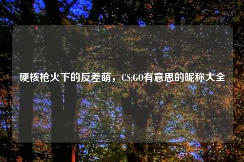 硬核枪火下的反差萌，CS:GO有意思的昵称大全