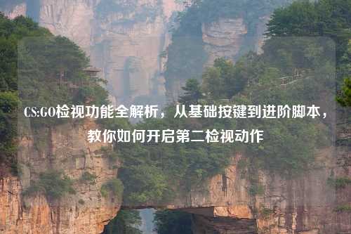 CS:GO检视功能全解析，从基础按键到进阶脚本，教你如何开启第二检视动作