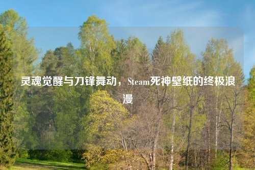 灵魂觉醒与刀锋舞动，Steam死神壁纸的终极浪漫