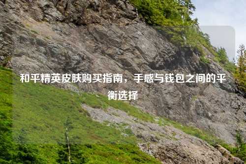 和平精英皮肤购买指南，手感与钱包之间的平衡选择