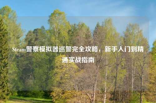 Steam警察模拟器巡警完全攻略，新手入门到精通实战指南