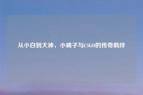 从小白到大神，小蝎子与CSGO的传奇羁绊