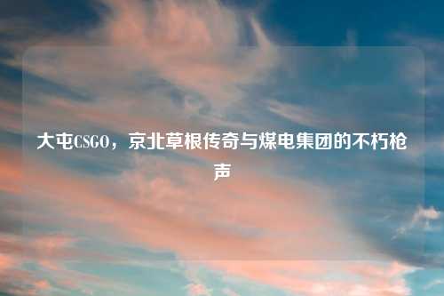 大屯CSGO，京北草根传奇与煤电集团的不朽枪声
