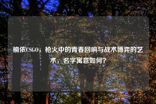 楠依CSGO，枪火中的青春回响与战术博弈的艺术，名字寓意如何？