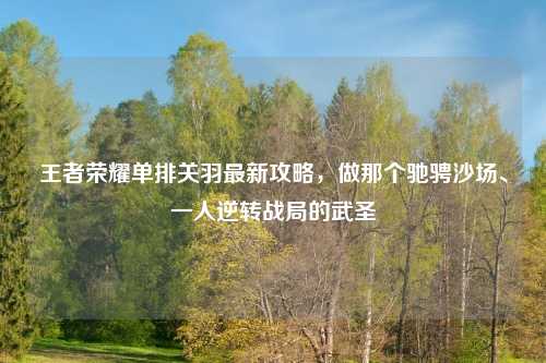 王者荣耀单排关羽最新攻略，做那个驰骋沙场、一人逆转战局的武圣