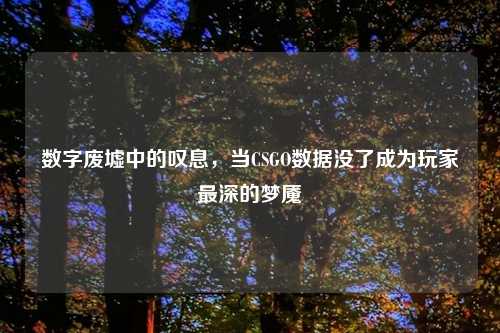 数字废墟中的叹息，当CSGO数据没了成为玩家最深的梦魇