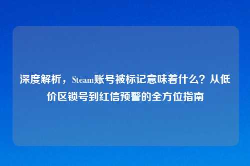 深度解析，Steam账号被标记意味着什么？从低价区锁号到红信预警的全方位指南