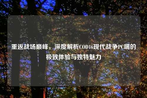 重返战场巅峰，深度解析COD16现代战争PC端的极致体验与独特魅力