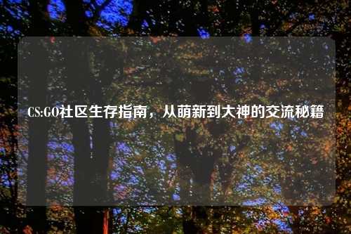 CS:GO社区生存指南，从萌新到大神的交流秘籍