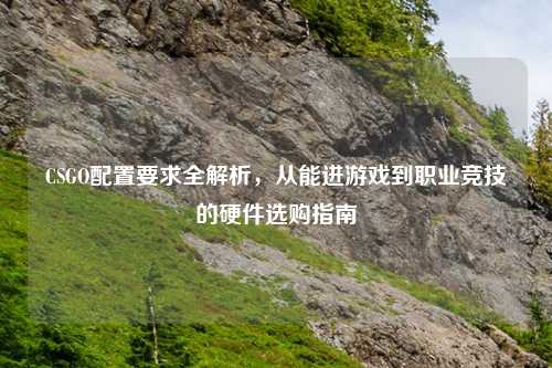 CSGO配置要求全解析，从能进游戏到职业竞技的硬件选购指南
