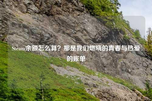 Steam余额怎么算？那是我们燃烧的青春与热爱的账单
