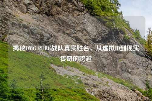 揭秘OMG PUBG战队真实姓名,从虚拟ID到现实传奇的跨越