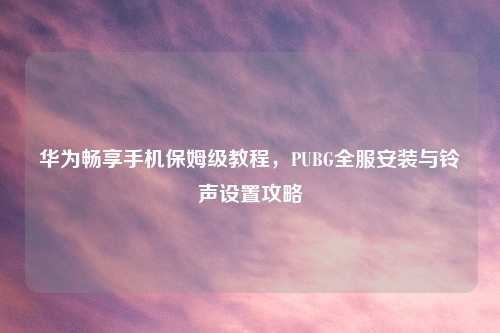 华为畅享手机保姆级教程，PUBG全服安装与     设置攻略