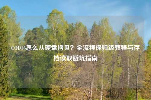 COD16怎么从硬盘拷贝？全流程保姆级教程与存档读取避坑指南