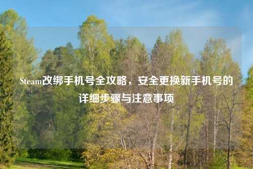 Steam改绑手机号全攻略，安全更换新手机号的详细步骤与注意事项