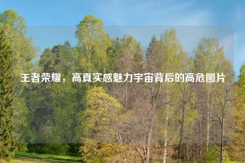 王者荣耀，高真实感魅力宇宙背后的高危图片