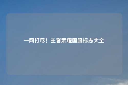 一网打尽！王者荣耀国服标志大全