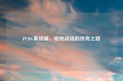 PUBG黄战神，绝地战场的传奇之路