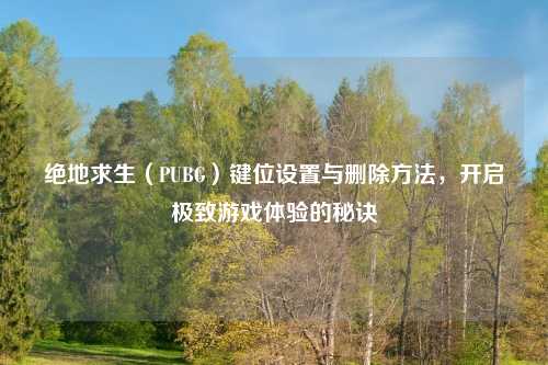 绝地求生（PUBG）键位设置与删除     ，开启极致游戏体验的秘诀