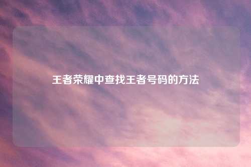 王者荣耀中查找王者号码的     