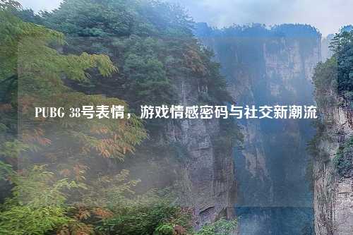 PUBG 38号表情，游戏情感密码与社交新潮流
