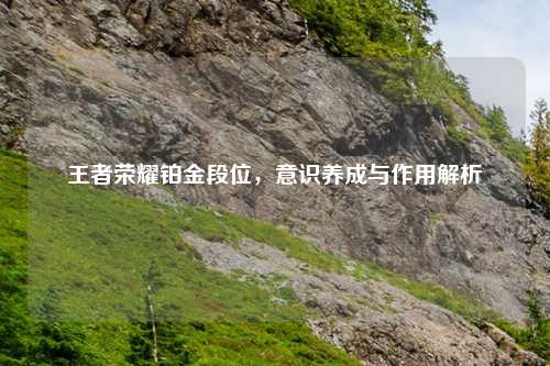 王者荣耀铂金段位，意识养成与作用解析