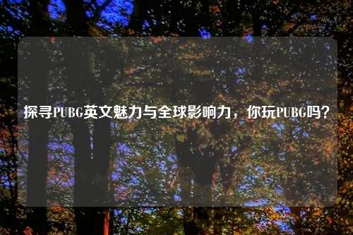 探寻PUBG英文魅力与全球影响力，你玩PUBG吗？