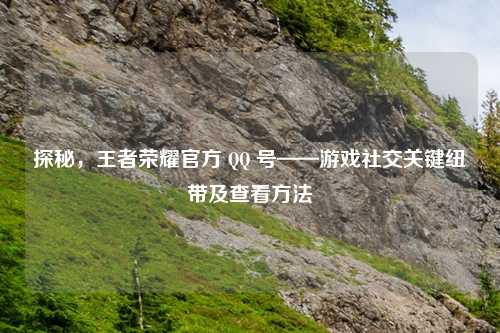 探秘，王者荣耀官方       号——游戏社交关键纽带及查看     