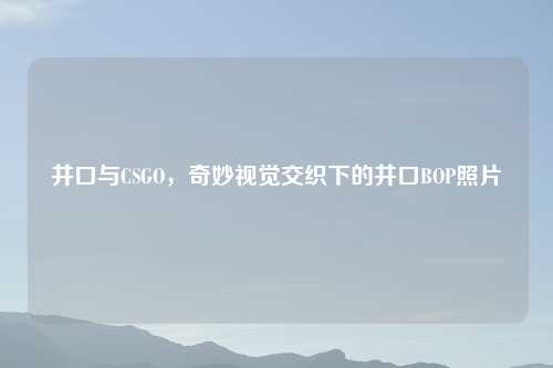 井口与CSGO，奇妙视觉交织下的井口BOP照片
