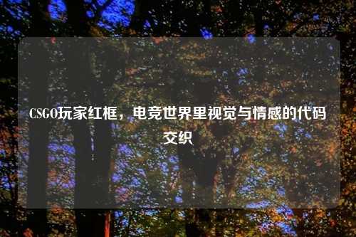 CSGO玩家红框，电竞世界里视觉与情感的代码交织