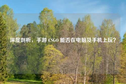 深度剖析，手游 CSGO 能否在电脑及手机上玩？