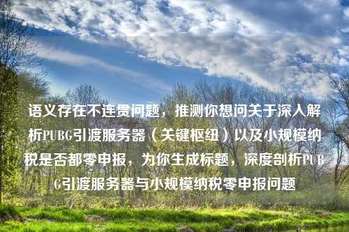 语义存在不连贯问题，推测你想问关于深入解析PUBG引渡服务器（关键枢纽）以及小规模纳税是否都零申报，为你生成标题，深度剖析PUBG引渡服务器与小规模纳税零申报问题
