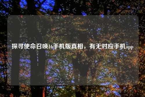 探寻使命召唤16手机版真相，有无对应手机app