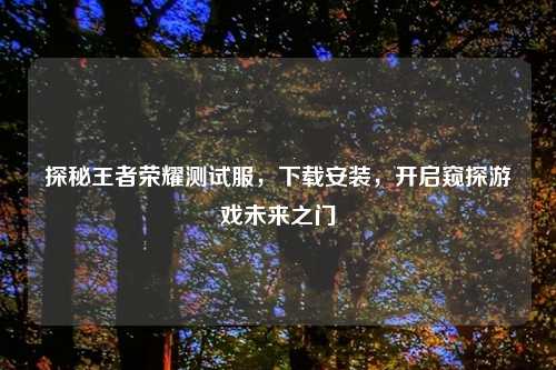 探秘王者荣耀测试服，下载安装，开启窥探游戏未来之门