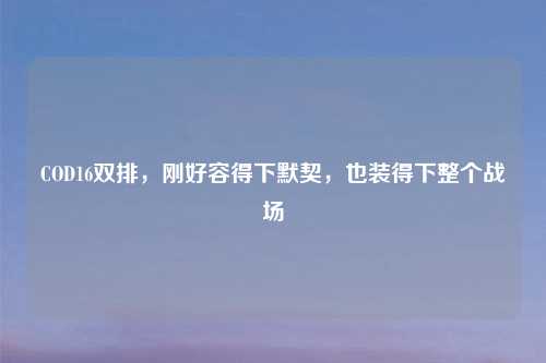 COD16双排，刚好容得下默契，也装得下整个战场
