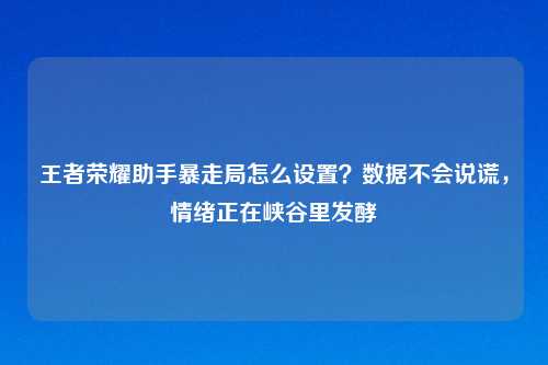 王者荣耀助手暴走局怎么设置？数据不会说谎，情绪正在峡谷里发酵