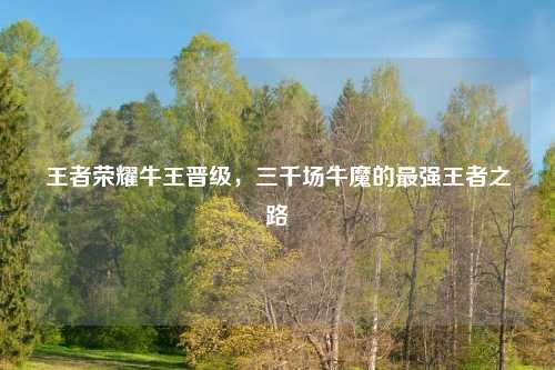 王者荣耀牛王晋级，三千场牛魔的最强王者之路